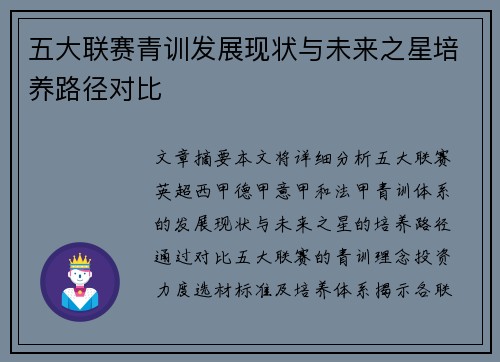 五大联赛青训发展现状与未来之星培养路径对比
